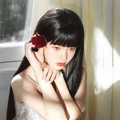 不可思议猫森林